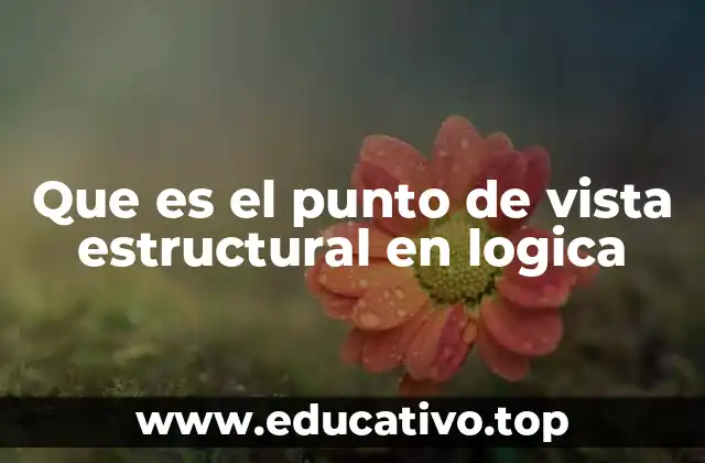 Que es el punto de vista estructural en logica