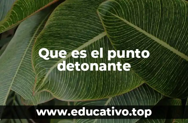 Que es el punto detonante