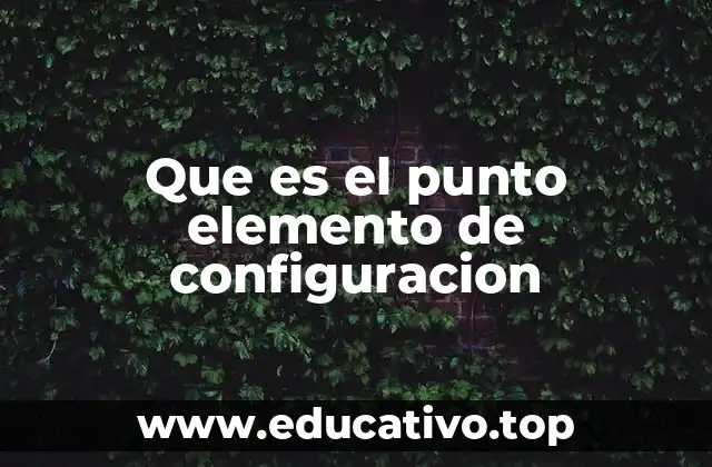 Que es el punto elemento de configuracion