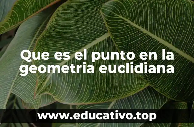 Que es el punto en la geometria euclidiana