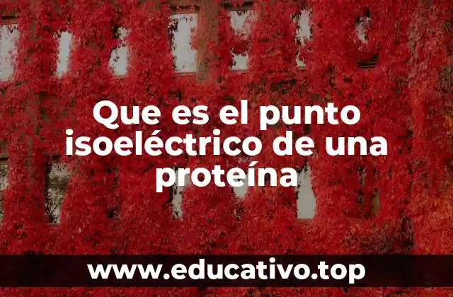 Que es el punto isoeléctrico de una proteína