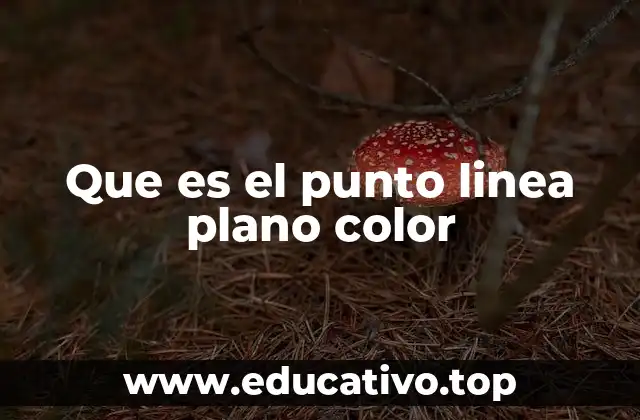 Que es el punto linea plano color