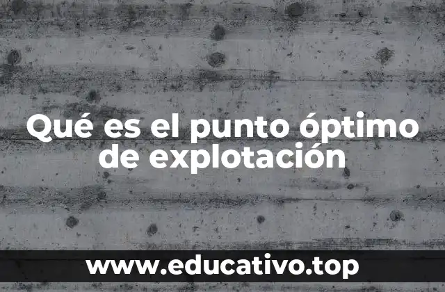 Qué es el punto óptimo de explotación