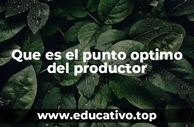 Que es el punto optimo del productor