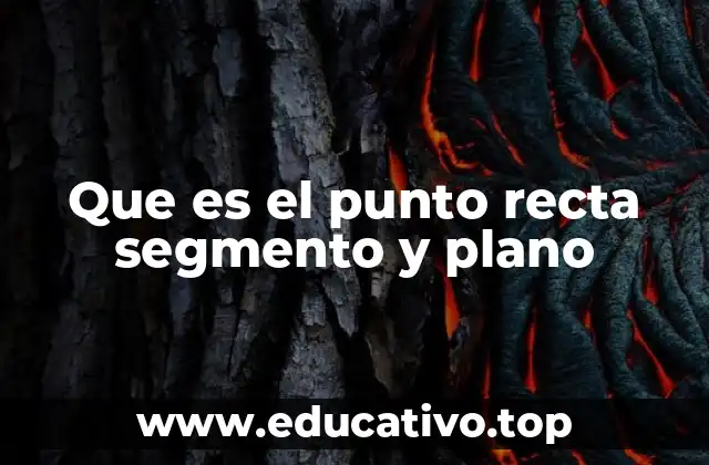 Que es el punto recta segmento y plano