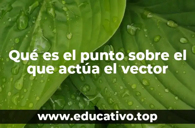 Qué es el punto sobre el que actúa el vector