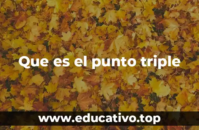 Que es el punto triple