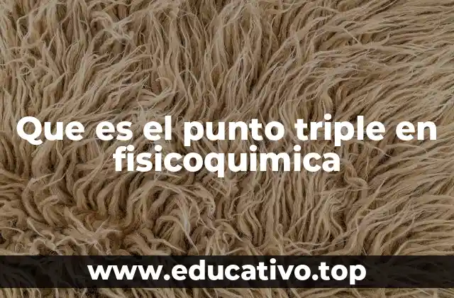 Que es el punto triple en fisicoquimica