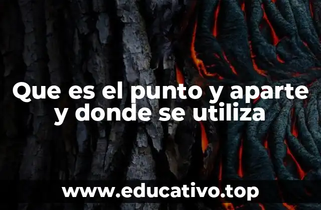 Que es el punto y aparte y donde se utiliza