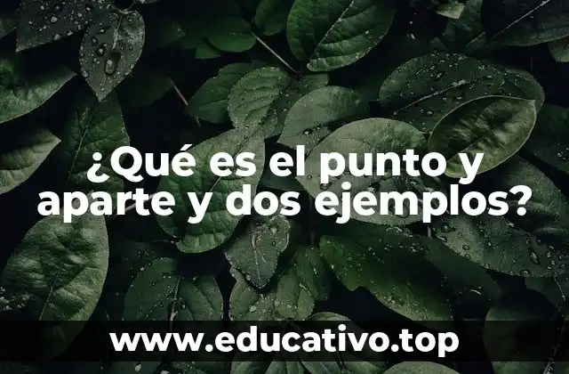¿Qué es el punto y aparte y dos ejemplos?