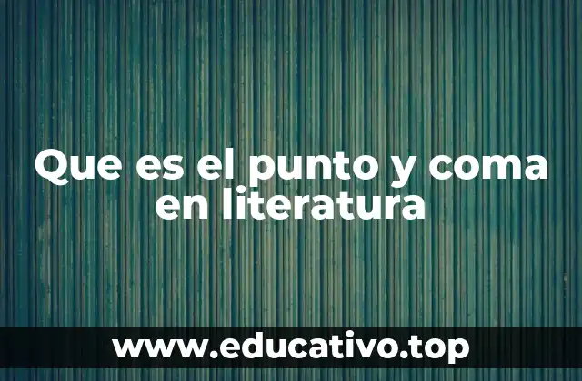 Que es el punto y coma en literatura