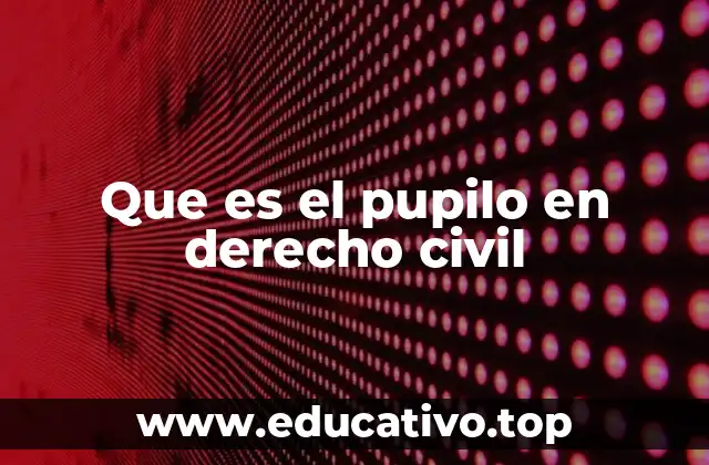Que es el pupilo en derecho civil