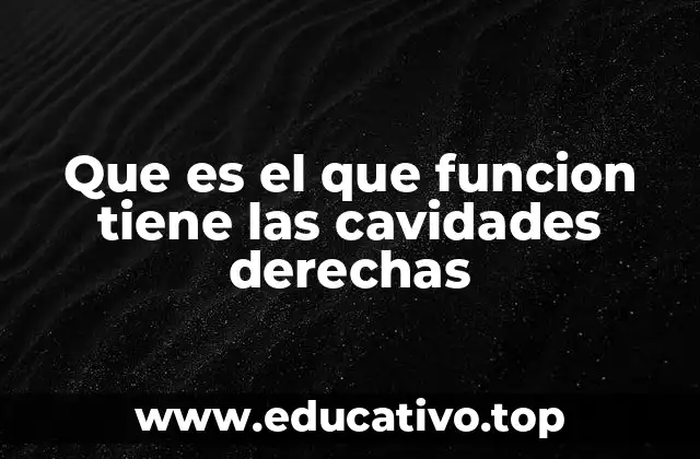 Que es el que funcion tiene las cavidades derechas