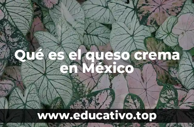 Qué es el queso crema en México