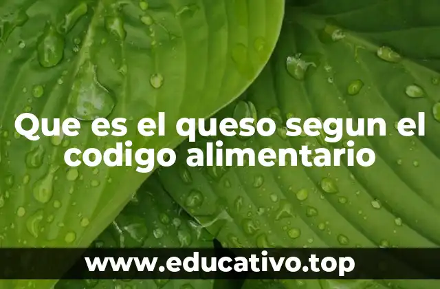 Que es el queso segun el codigo alimentario