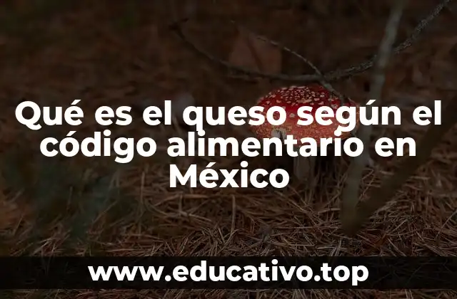 Qué es el queso según el código alimentario en México