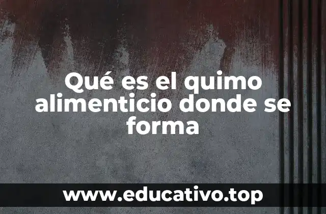 Qué es el quimo alimenticio donde se forma