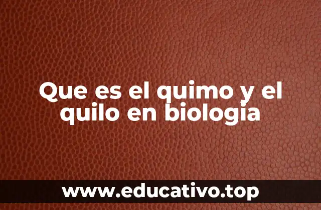 Que es el quimo y el quilo en biologia