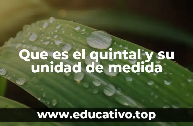 Que es el quintal y su unidad de medida