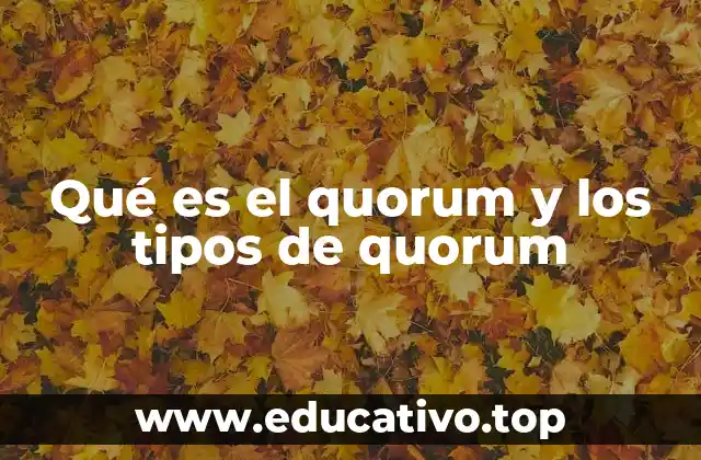 Qué es el quorum y los tipos de quorum