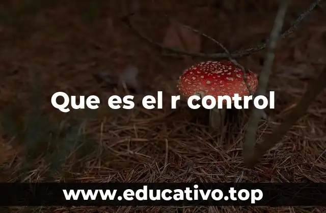 Que es el r control