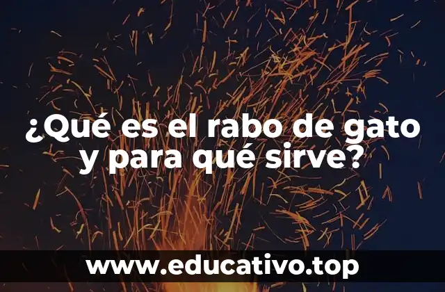 ¿Qué es el rabo de gato y para qué sirve?