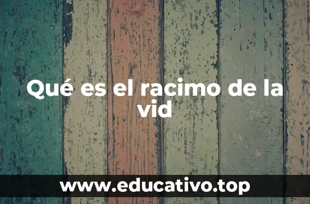 Qué es el racimo de la vid