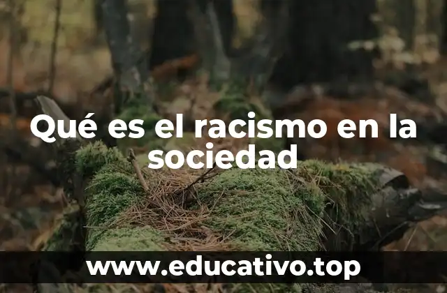 Qué es el racismo en la sociedad
