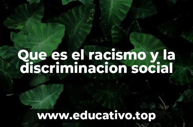 Que es el racismo y la discriminacion social
