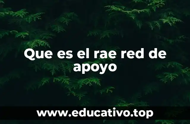 Que es el rae red de apoyo