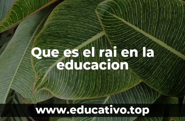 Que es el rai en la educacion