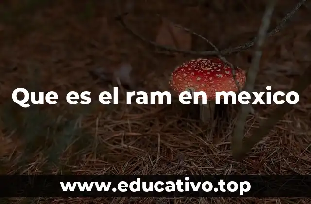 Que es el ram en mexico