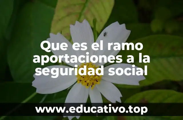 Que es el ramo aportaciones a la seguridad social