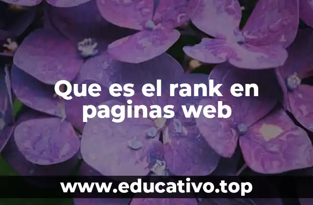 El impacto del rank en la visibilidad digital