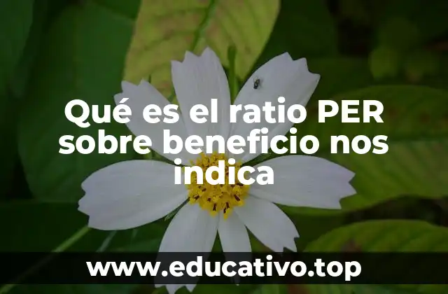 Qué es el ratio PER sobre beneficio nos indica