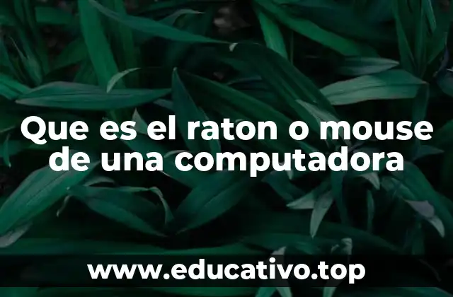Que es el raton o mouse de una computadora
