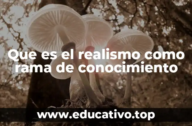 Que es el realismo como rama de conocimiento
