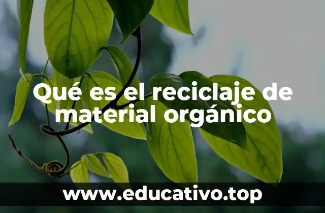 Qué es el reciclaje de material orgánico