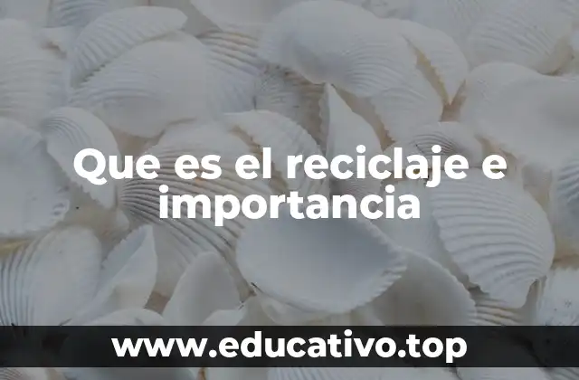 Que es el reciclaje e importancia