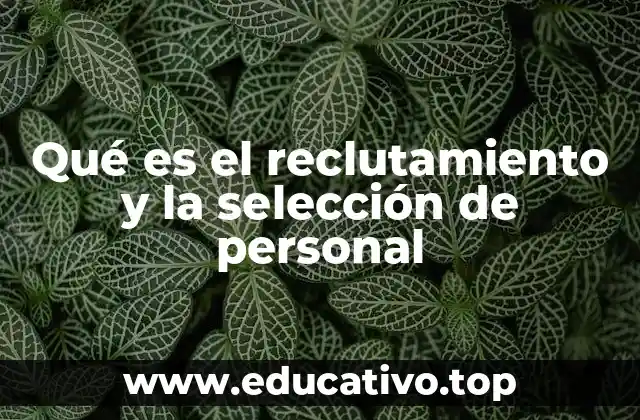 Qué es el reclutamiento y la selección de personal