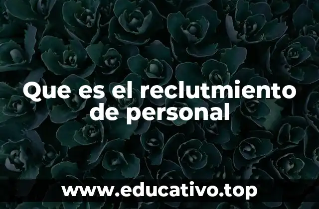 La importancia del proceso de búsqueda de talento