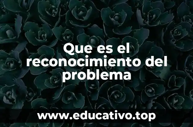 Que es el reconocimiento del problema