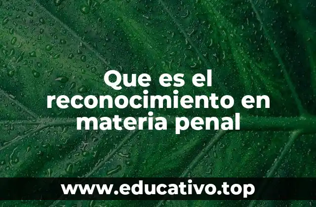 Que es el reconocimiento en materia penal