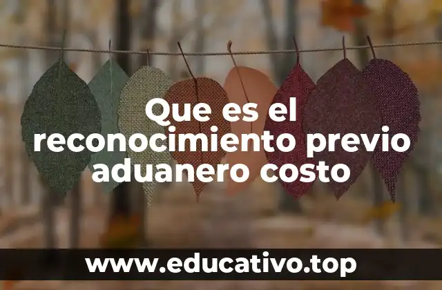 Que es el reconocimiento previo aduanero costo