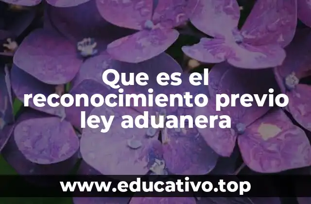 Que es el reconocimiento previo ley aduanera