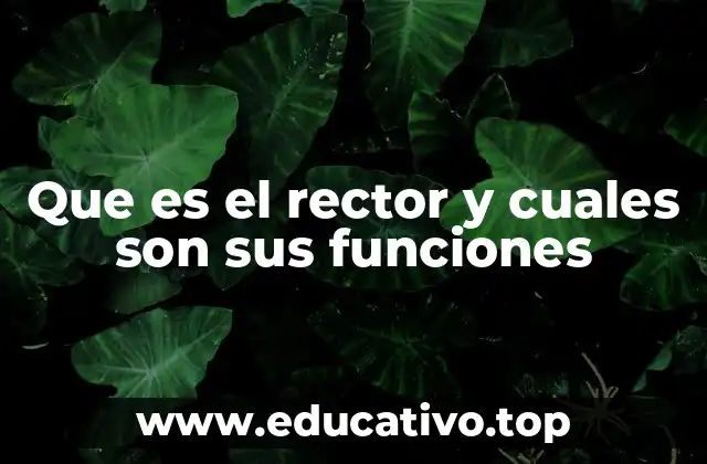 Que es el rector y cuales son sus funciones