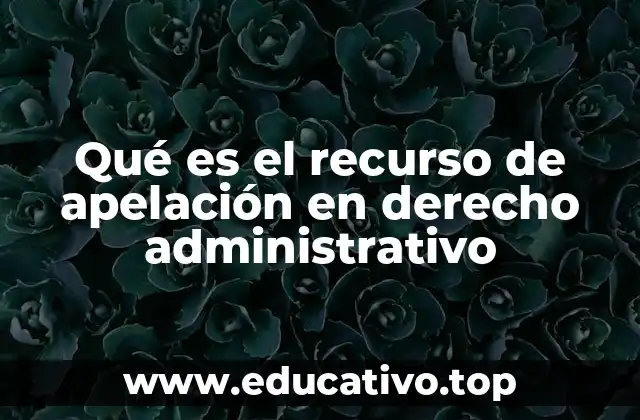 Qué es el recurso de apelación en derecho administrativo
