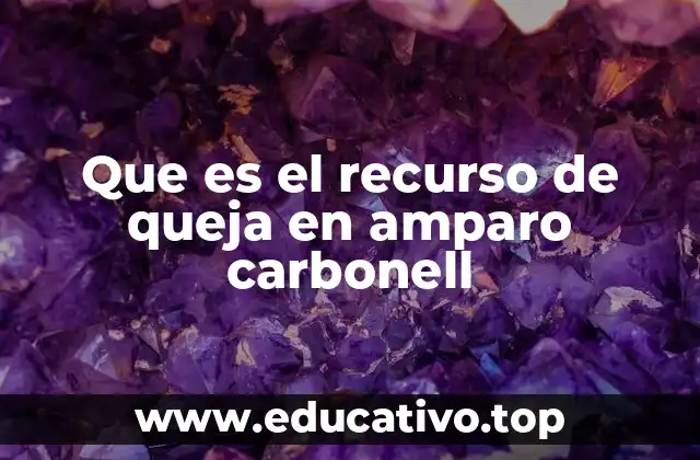 Que es el recurso de queja en amparo carbonell