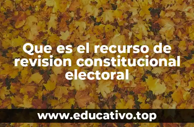 Que es el recurso de revision constitucional electoral