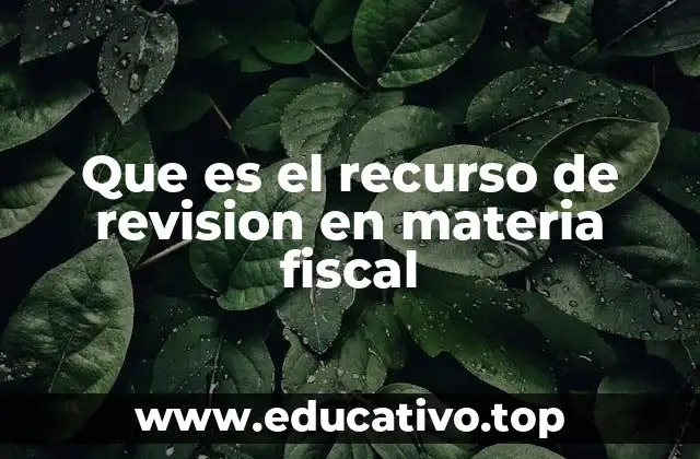 Que es el recurso de revision en materia fiscal